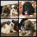 PCIMG_2026-03-12_08-31-02